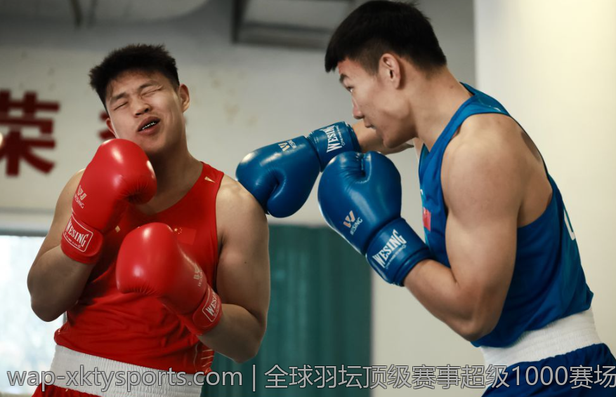 全球羽坛顶级赛事超级1000赛场精彩集锦