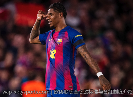 欧协联奖金奖励标准与分红制度介绍
